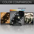 50 Kringle Traditions 5mm Cool White LED Christmas Lights, Green Wire, 4" Spacing