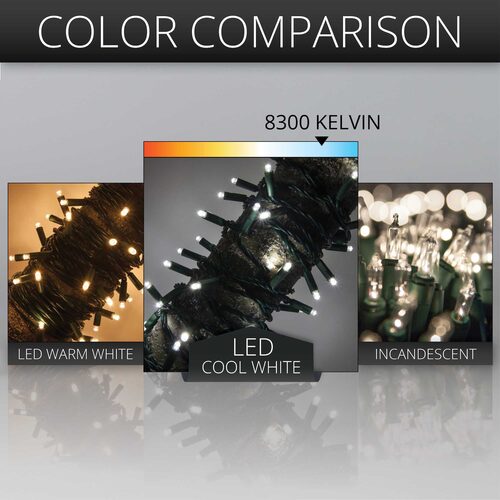 50 Kringle Traditions 5mm Cool White LED Christmas Lights, Green Wire, 4" Spacing