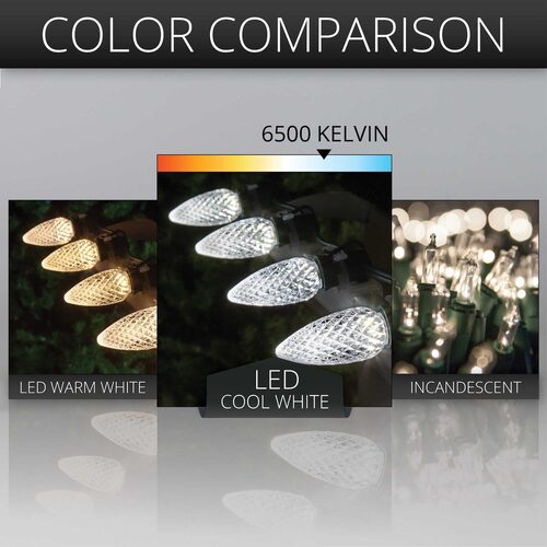 25 C9 Cool White Commercial LED Lights, Green Wire, 12" Spacing