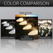 C9 Warm White Kringle Traditions LED Bulbs