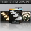 C9 Cool White Kringle Traditions LED Bulbs