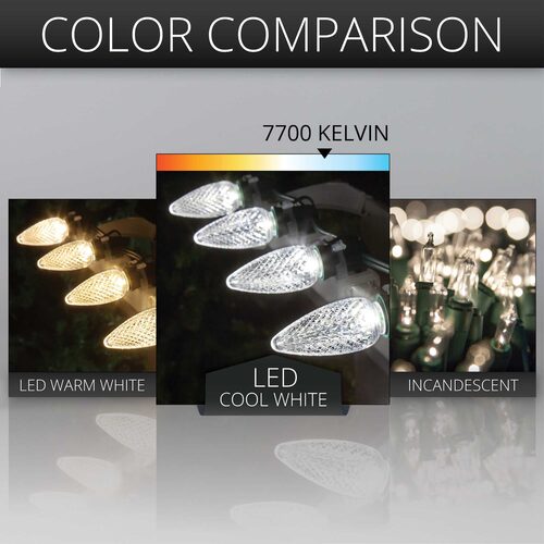 C9 Cool White Kringle Traditions LED Bulbs