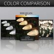 C9 Warm White Twinkle OptiCore Commercial LED Christmas Lights, 25 Lights, 25'