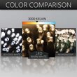 70 5mm Warm White LED Christmas Lights, Black Wire, 4" Spacing