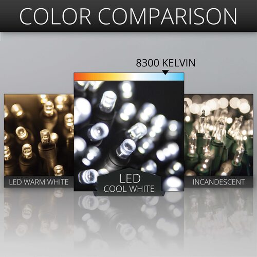 70 5mm Cool White LED Christmas Lights, Black Wire, 4" Spacing