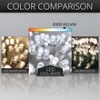 70 5mm Cool White LED Christmas Lights, White Wire, 4" Spacing