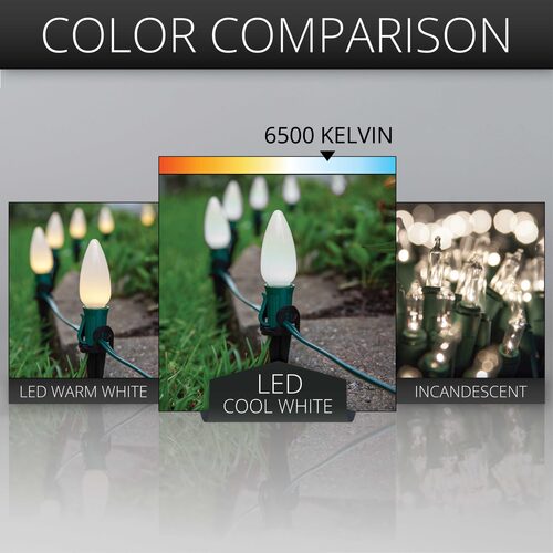 C9 Cool White Smooth OptiCore Christmas Pathway Lights, 25 Lights, 5 Inch PathPRO Stakes, 25'