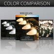 C9 Warm White Smooth OptiCore Commercial LED Christmas Lights, 25 Lights, 25'