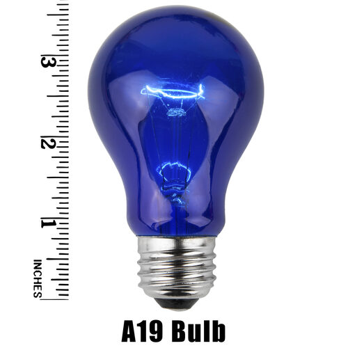 A19 Blue Transparent Bulbs, E26 - Medium Base