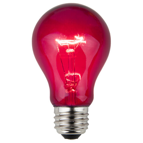 A19 Purple Transparent Bulbs, E26 - Medium Base