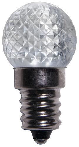 G20 Acrylic Cool White LED Globe Light Bulbs