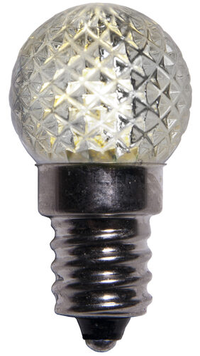 G20 Acrylic Warm White LED Globe Light Bulbs