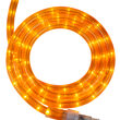 Orange Rope Light, 150 ft