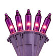50 Purple Passion Mini Lights, Lamp Lock, Purple Passion Wire, 6" Spacing