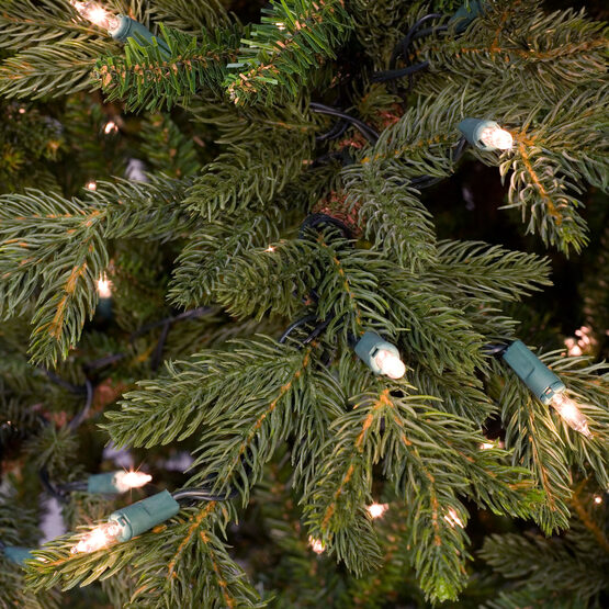 Canadian Fir Prelit Tree