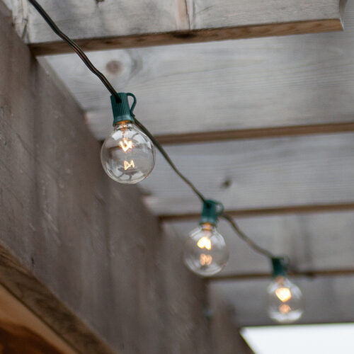 25' Commercial Clear Patio String Light Set with 25 G50 Bulbs on Green Wire, E12 Base