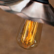 BVA2125 Clear Transparent Bulbs, E26 - Medium Base