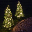 Winchester Fir Prelit Walkway Tree, Clear Lights