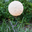 7.5" Clear Starlight Sphere Stake