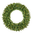24" Douglas Fir Prelit Wreath, 50 Warm White LED T5 Lights