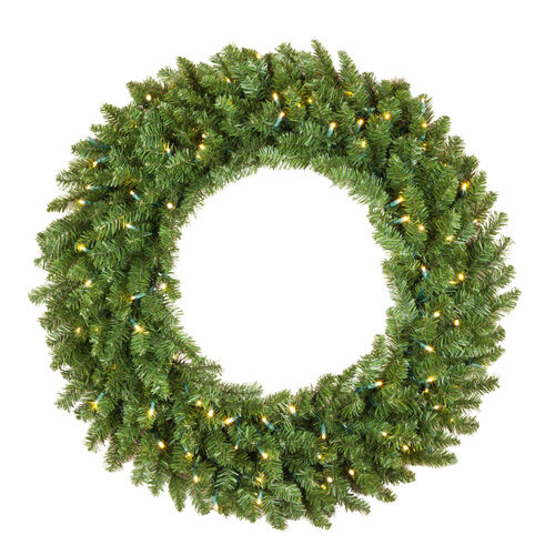 24" Douglas Fir Prelit Wreath, 50 Warm White LED T5 Lights