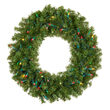 24" Douglas Fir Prelit Wreath, 50 Multicolor LED T5 Lights