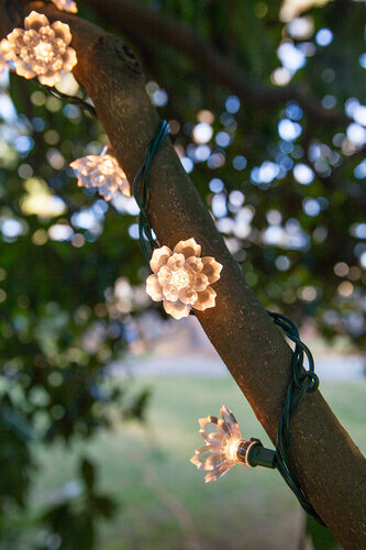 Two Layer Crystal Lily Flower Lights on Green Wire