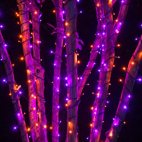 70 5mm Purple, Orange LED Christmas Lights, Black Wire, 4" Spacing