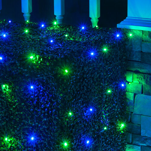 4' x 6' Blue, Green 5mm LED Christmas Net Lights, 100 Lights on Green Wire