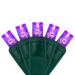 70 5mm Purple LED Christmas Lights, Green Wire, 4" Spacing