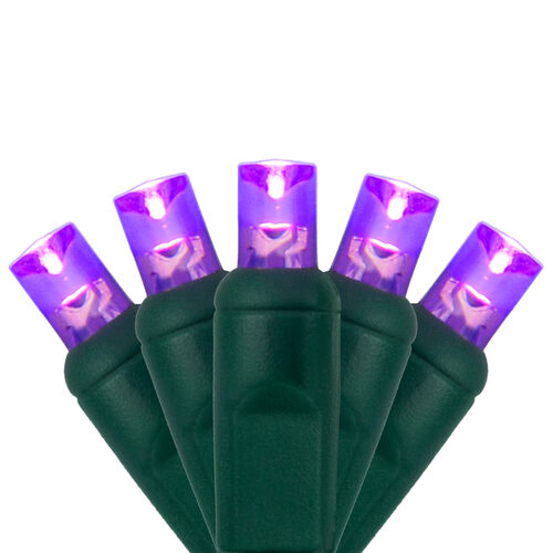 70 5mm Purple LED Christmas Lights, Green Wire, 4" Spacing