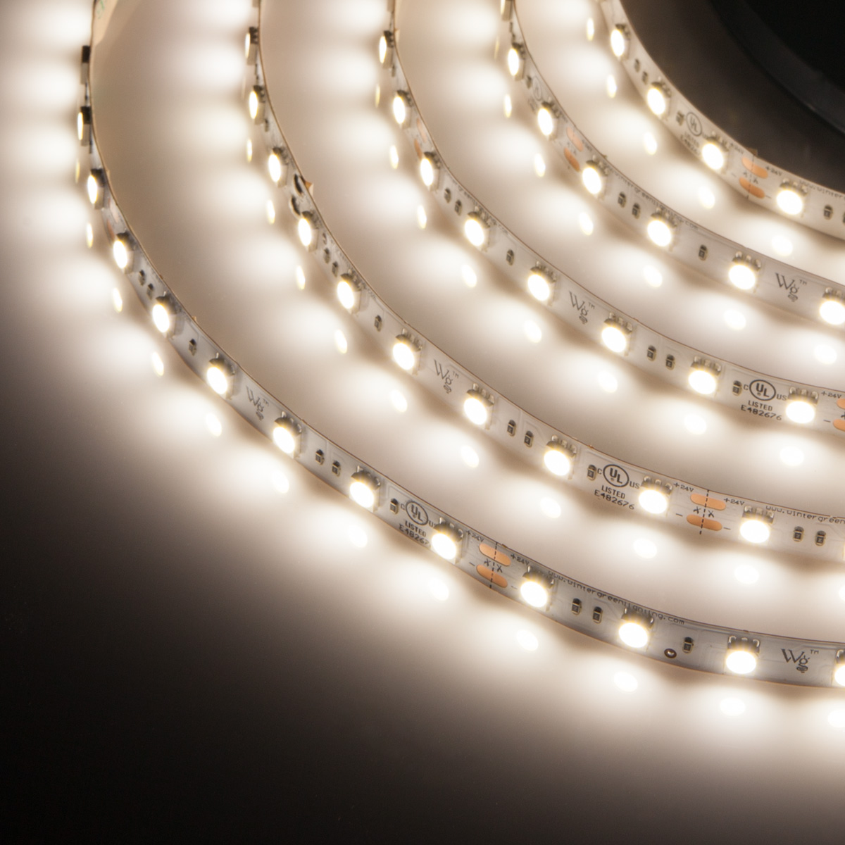 Pure White 24V High Output LED Strip Light Wintergreen Corporation