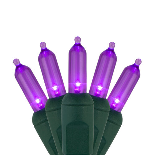 50 T5 Purple LED Christmas Tree Lights Green Wire, 6" Spacing