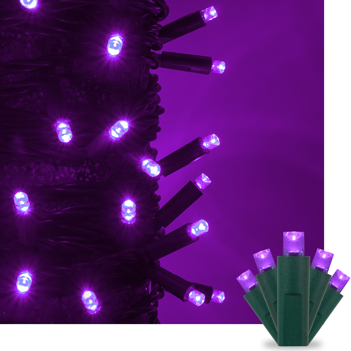 purple led christmas lights