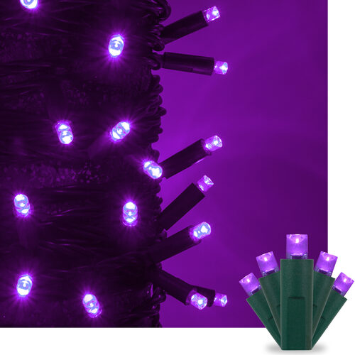 50 Kringle Traditions 5mm Purple LED Christmas Lights, Green Wire, 4" Spacing