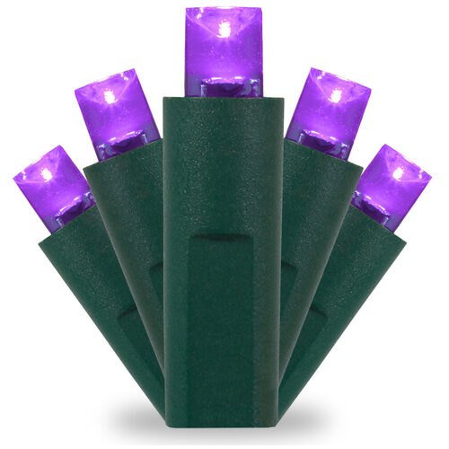 50 Kringle Traditions 5mm Purple LED Christmas Lights, Green Wire, 4" Spacing
