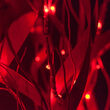 63" Red Lighted Slender Willow Branches, Red LED