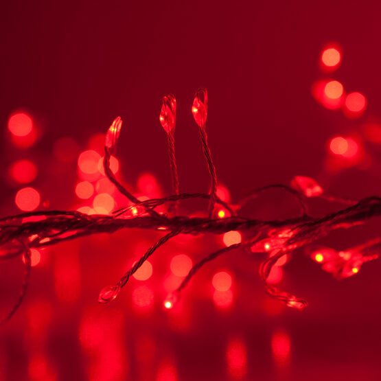 Red LED Fairy Lights, Silver Wire Wintergreen Corporation