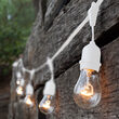 54' Commercial Clear Patio String Light Set with 24 A19 Bulbs on White Wire, with Drops