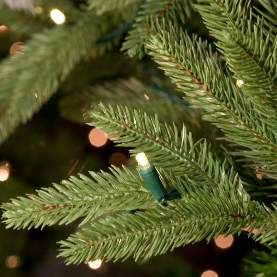 noble fir wintergreen corporation best led white christmas lights