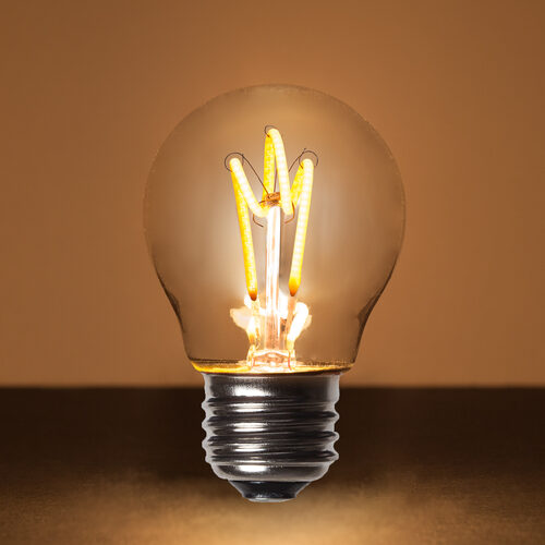 C02 - LED light bulb G45 gold spiral filament