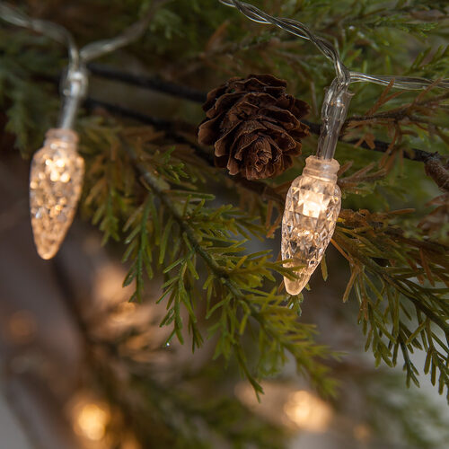 https://img.wintergreencorp.com/images/pd/56702/1-Battery-Operated-LED-Pinecone-Lights-decor-4464.jpg?w=cc&h=500