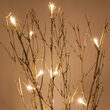 30" Battery Operated Brown Bamboo Lighted Branches, Warm White LED Lights