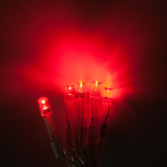 Aurora Superstar TM Light String, 12 Red LED Mini Lights, Clear Wire