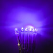 Aurora Superstar TM Light String, 12 Purple LED Mini Lights, Clear Wire