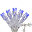 Aurora Superstar TM Light String, 12 Blue LED Mini Lights, Clear Wire