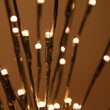 30" Brown Lighted Branch, Warm White LED