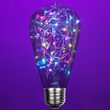 ST64 Color Change RGB LEDimagine TM Fairy Light Bulbs