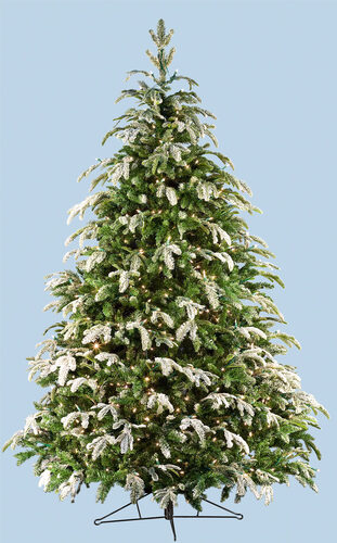 Flocked Fraser Fir Prelit Tree