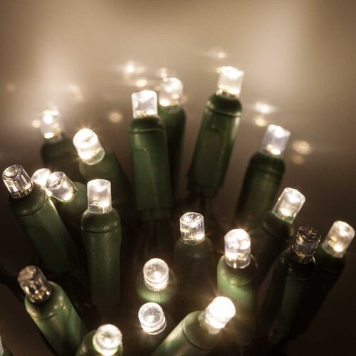 50 5mm Warm White SoftTwinkle TM LED Christmas Lights, Green Wire, 4" Spacing
